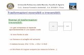 Trasformazioni reversibili e irreversibili - isf.univpm.it · C.d.L. Scienze Forestali e Ambientali, A.A. 2010/2011, Fisica. Consideriamo una macchina termica (un motore) X e una