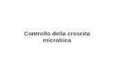Controllo della crescita microbica - …agrariafree.altervista.org/appunti agraria/microbiologia...alluminio, carta speciale o in contenitori: 150 C, 90 min o 180 C, 60 min . • calore