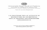 Università Degli Studi di Padovatesi.cab.unipd.it/27111/1/La_gestione_delle_attività_di... · 2011-03-03 · nelle imprese della Grande Distribuzione Organizzata, con particolare