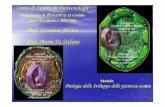 Prof. Giovanni Aliotta Prof. Mario De Stefanounina.stidue.net/Botanica/Botanica - 1_La cellula vegetale.pdf · Citoscheletro, struttura e dinamica nel corso del ... dei pori la membrana