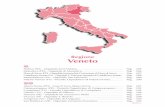Regione Veneto - La Repubblica.itdownload.repubblica.it/pdf/2013/salute/bollino-rosa/veneto.pdf · Ambulatorio dolore cronico post-partum Malattie e disturbi dell’apparato cardiovascolare