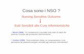 Cosa sono i NSO - unife.it · Rapporto numerico infermiere/paziente Ore infermiere/paziente (NHPPD, HPPD, ecc) ... pressione, cadute, contenzione, dolore e stravasi giàconsolidato