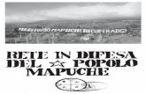 RETE IN DIFESA DEL POPOLO MAPUCHE - Antispecismo e' … · Puoi darci un quadro delle caratteri-stiche del popolo Mapuche e della sua storia di resistenza contro Ie varie in-vasioni