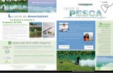LA NEWSLETTER DEI PESCATORI SPORTIVI VENETI · Il manuale “No-kill in Veneto. La Pesca ai Pesci Predatori” e il dvd “La Pesca a ... Per “raccontare” in modo più completo
