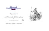 Espansione del Manuale del Giocatore classi ADeD - v1_1.pdf · 2010-11-07 · 0 Espansione del Manuale del Giocatore v1.1 a cura dei Cavalieri del Norwold Classi fino al 36 ° livello