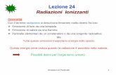 Lezione 24 Radiazioni Ionizzanti - fisica.unipg.it · Rivelatori di Particelle 3 Lezione 24 Radiazioni Ionizzanti Radiazioni direttamente ionizzanti più comuni sono particelle a