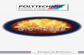 Biomass Energy - POLYTECHNIK · Combustibile: cippato, corteccia,segatura • Messa in funzione: 2007 Caldaia a serpentinal (23 bar, 420° C) • Tipo di combustione: griglia di avanzamento