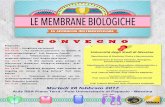 Ok.pdf · "'Alimentazione e funzionalità della membrana cellulare" Prof. Herbert Ryan Marini Ore 16:10 - film lacrimale quale esempio di interazione membrana biologica-ambiente ptof.