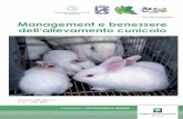 Management e benessere dell ... RICERCA 101.pdf · 3.1.3 Conclusioni del progetto CUNISVEZZ 31 3.1.4 Bibliografia 32 3.2 Progetto CUNIBENE Benessere del coniglio allevato: individuazione