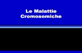 Le Malattie Cromosomiche - .Le Malattie Cromosomiche. Patrimonio genetico Sequenza basi DNA Cromosomi