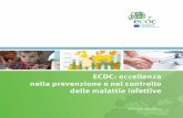 ECDC: eccellenza nella prevenzione e nel controllo delle ...ecdc.europa.eu/sites/portal/files/media/it/publications/... · Malattie infettive — Alcune delle minacce principali ...