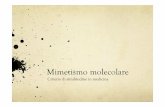 Mimetismo molecolare - omeoweb.comomeoweb.com/documenti/biblioteca/mimetismomolecolare.pdf · Il mimetismo molecolare è un importante fattore patogenetico, riconosciuto soprattutto