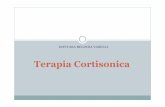 Terapia Cortisonica - webalice.it 2/Vaselli/Terapia Cortisonica.pdf · I vari composti che fanno parte di questa categoria terapeutica sono tra i farmaci più utilizzati sia ... Terapia