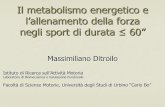 Il metabolismo energetico e l’allenamento della forza ...marche.coni.it/images/marche/documentazione/2004/5.pdf · Laboratorio di Biomeccanica e Valutazione Funzionale Facoltà