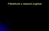 Fillosilicati e minerali argillosi - unirc.it · un insieme di ioni, o atomi, o molecole, è disposto secondo sequenze ripetitive ordinate caratterizzate da distanze fisse, a, b,