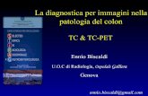 La diagnostica per immagini nella patologia del colondocumenti.fullday.com/public/NEMI/BISCALDI_TC_TCPET.pdf · La diagnostica per immagini nella patologia del colon Ennio Biscaldi