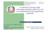 La direttiva europea sullo stoccaggio geologico della CO 2 ...it.cgseurope.net/UserFiles/file/Valmontone_nov_2012/2_Cappelletti.pdf · Legge 4 giugno 2010 n. 96 ... stima dei volumi