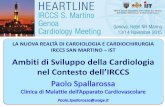 Ambiti di Sviluppo della Cardiologia nel Contesto dell’IRCCS Spallarossa.pdf · Bezante Gian Paolo Created Date: 11/30/2015 11:07:33 AM ...