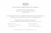 Università degli Studi di Cagliari - UniCA Eprintsveprints.unica.it/763/1/PhD_Falconieri_Danilo.pdf · hanno seguito il percorso evolutivo sino a costituire l'enorme patrimonio di