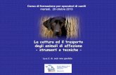 Corso di formazione per operatori di canili martedi, 29 ... · • Ventilazione che assicuri qualità e quantità d’aria ... la diagnosi del male e la scelta della terapia”. ...