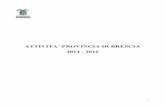 ATTIVITA’ PROVINCIA DI BRESCIA 2014 - 2016 · è stato siglato un Accordo di indirizzo al fine di dare impulso e definire il perimetro ... (legge Delrio), ... reti di partenariato
