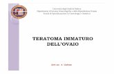 TERATOMA IMMATURO DELL’OVAIO - sdb.unipd.it immaturo... · PDF fileinteressa docce parietocoliche, emidiaframmi, glissoniana e peduncolo epatico; in fossa iliaca destra grossolano