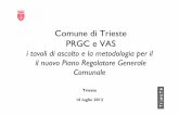 Comune di Trieste PRGC e VAS - retecivica.trieste.it · Il 19 giugno è stato adottato il procedimento della fase di ascolto degli stakeholder ... -Promuovere pratiche di recupero