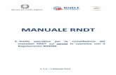 RNDT guida operativa servizi v1 - pcn.minambiente.it · Guida operativa per la compilazione dei metadati RNDT sui servizi in coerenza con il Regolamento INSPIRE – v. 1.2 – 01/02/2013