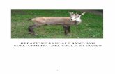 relazione anno 2006 - Centro Recupero Animali Selvatici · dal settore Tutela Flora e Fauna della Provincia di Cuneo, 23 dal C.F.S, 21dal Multizonale ASL15, 11 dalle Guardia Parco