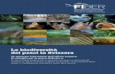 La biodiversità dei pesci in Svizzera · Che cos’è una specie? Nella sua accezione tradizionale, il concetto di specie può essere illustrato dal seguente esempio: asini e cavalli