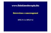 Retrovirus e cancerogenesi - fisiokinesiterapia.biz · •trasformazione neoplastica I virus oncogeni hanno la capacità di trasformare ... conferendo loro numerose proprietà della