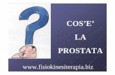 COS’E’ - Blog di informazione infermieristica prostata e l'ipertrofia prostatica... · ad un processo di iperplasia ghiandolare e stromale che riguarda ... REFLUSSO VESCICO-URETERALE