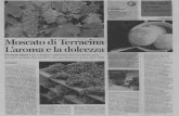 cameradicommerciolatina.itcameradicommerciolatina.it/wp-content/uploads/2015/10/... · 2015-10-05 · Moscato di Terracina, cui aderiscono il novanta per cento dei viticoltori locali.