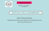 BIOFISICA DELLE MEMBRANE - dbbpg.unina2.it delle... · BIOFISICA DELLE MEMBRANE Biofisica e Fisiologia I A.A. 2016-17 Corso di Laurea Magistrale in “Medicina e Chirurgia” Prof.