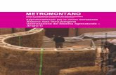 METROMONTANO - Patto Zona Ovest Torino · nel sistema metropolitano allargato, anche superfici non direttamente confinanti con il territorio del ... svolgere a livello regionale e