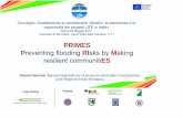 PRIMES Preventing flooding RIsks by Making resilient ... · -omogeneità tra i siti scelti dalle regioni partner del Progetto Aree Test ... C1 omogeneizzazione dei sistemi di allertamento
