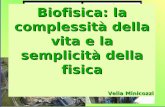 Biofisica: la complessità della vita e la semplicità della ... · Laurea Magistrale in Fisica indirizzo Fisica dei Biosistemi tre sotto-indirizzi Teorico-Numerico, Sperimentale,