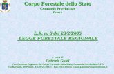 Corpo Forestale dello Stato - educambiente.it GUIDI G - Lezione GEV Legge... · “Orientamento e modernizzazione del settore forestale” ... Tutela boschi come definiti nel D.L.vo