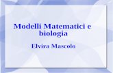 Modelli Matematici e biologia - web.math.unifi.itweb.math.unifi.it/users/mascolo/DIDATTICA-SCIENZE-BIOLOGICHE/... · G.F. Gause, biologo da sempre interessato ai modelli matematici: