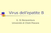 Virus dell’epatite B - ch.unich.it · “Siero” Epatiti virali Trasmissione enterica Trasmissione parenterale F, G, TTV, altri ? E NANB B D C I virus dell’epatite Virione (particella