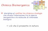 Proteine Chimica Bioinorganica - users.unimi.itusers.unimi.it/tberdid/bioinorg_intro.pdf · Chimica Bioinorganica Metalli RNA DNA Proteine ¾disciplina al confine tra chimica e biologia