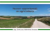 Nuove opportunità in agricoltura 26-02... · rilevazione tramite droni).. ... professionali adeguate 4) ... per l’insediamento per almeno 8 anni dalla decisione individuale
