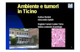 Ambiente e tumori in Ticino - Stato e organizzazione ... · Cos’è e com’è definito un fattore di rischio? ... il tempo d’azione ... Inquinamento atmosferico Tempo tra esposizione