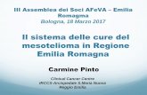 Il sistema delle cure del mesotelioma in Regione Emilia ... · Italia nel 2016 M F Totale Mesotelioma 1.500 400 1.900 Polmone 27.800 13.500 41.300 ... Organizzazione dei percorsi