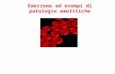 Presentazione di PowerPoint - Corso di Laurea in Infermieristica …infmestre1anno.altervista.org/index_file/Patologia... · PPT file · Web view2010-02-16 · Title: Presentazione