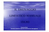 IL DRENAGGIO LINFATICO MANUALE (DLM)ifili.it/wp-content/uploads/2018/03/DRENAGGIO-LINFATICO.pdf · IL DRENAGGIO LINFATICO MANUALE (DLM) Francesca Perri. Infermiere Pediatrico, Operatore