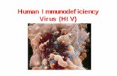 Human Immunodeficiency Virus (HIV) · LA STORIA NATURALE DELL’AIDS: dall’infezione alla grave immunodeficienza. A) TRASMISSIONE DEL VIRUS 1) Via parenterale: inoculazione di sangue