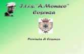 Provincia di Cosenza - ITI Monaco Cosenza | Sito web ufficiale · • Avvicinare alla cultura del giardino naturale o giardino ecologico • Osservare come le varietà vegetali interagiscono