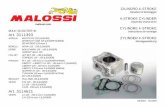 4-STROKE CYLINDER Assembly instructions malossi.com ...storage.malossistore.com/files/montaggio/7311393.pdf · VESPA LX 125 - 150 ie euro 3 (LEADER) LXV 125 ie euro 3 (LEADER) 03/2016