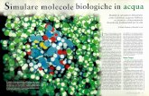 Simulare molecole biologiche in acqua - download.kataweb.itdownload.kataweb.it/lescienze/media/pdf/levitt michael.pdf · scuna delle altre tre mole-cole di acqua. Ogni moleco-la di